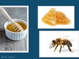 Honey Facts and History