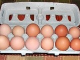 Make it Yourself...Better Scrambled Eggs