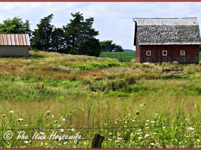 The Iowa Housewife: Sunday in Iowa