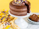 Mini Egg Cake - Chocolate Easter Cake