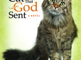 Book review: the cat that god sent by jim kraus    @litfuse