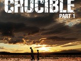Book review:  the crucible:  Part One by ruby barnes