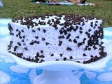 64/99: Chocolate Tweed Angel Food Cake