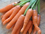 Carrot Puree