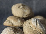 Chiocciole di pane integrale (metodo Yudane 湯 種 )