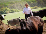 AngusFarm – Texas Tack Meets Old Bohemian Farm