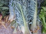 Cardoon: Artichokes Distant Cousin