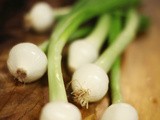 Butter Poached Tilapia & Spring Onions