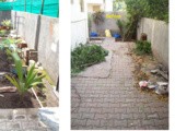 Our Developing Garden - Before & After