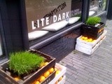 Veggie hotspot Amsterdam: Lite/Dark
