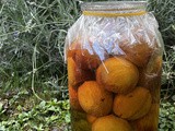 Dunst Breskve u rumu stari vojvođanski delikates