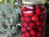Trešnje u rumu-Kompot