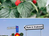 Foraging Sweden & Wild Strawberry Jam (Part ii)