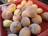 Frozen Peaches…Easy Store, Easy Peel, Easy Stone Removal