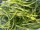 Grass, Weed or Garlic Scape