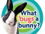 What bugs a bunny? Hay fever