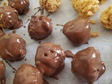 Chocolate Covered Peanut Butter Krispie Candy Recipe