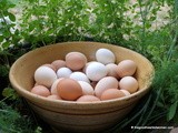 NestFresh Eggs {Sponsored Giveaway}