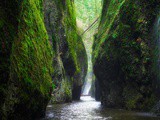 Oneonta Gorge Hike {9 Essential Tips}