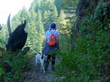 The Trail Less Traveled: Elowah Falls & McCord Creek Falls {Hike}