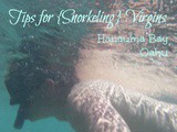 Tips for {Snorkeling} Virgins