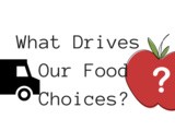 What Drives Our Food Choices