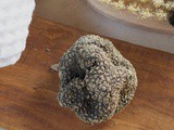 Black and White Italian Truffles: a Buying Guide