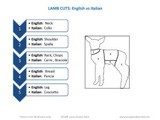 Cuts of Lamb in English & Italian