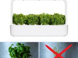 Italian Fresh Herbs In Your Kitchen With Click and Grow