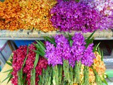 Photo Tour of Yodpiman Flower Market in Bangkok