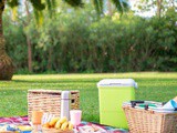 Create a Perfect Picnic Lunch